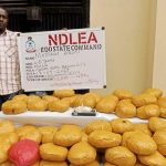 NDLEA Seizes N3.4 Billion Worth of Drugs, Arrests Impersonator Posing as Police Officer