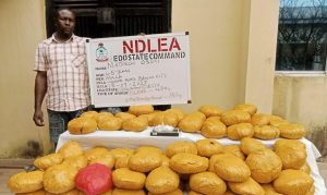 NDLEA Seizes N3.4 Billion Worth of Drugs, Arrests&hellip;
