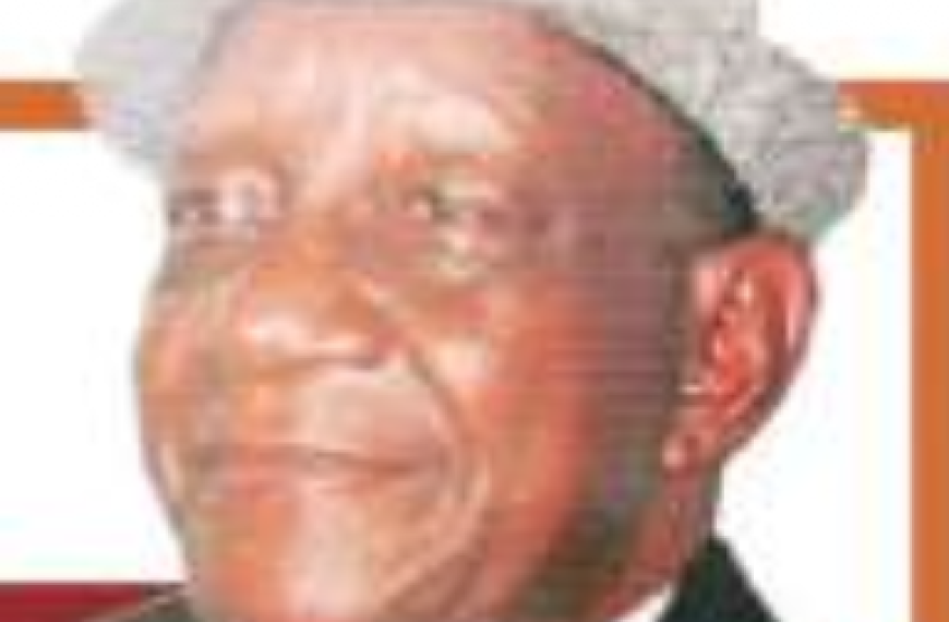 Dangote Refinery IPO Not Intended for Individual Investors, Says Dele Sobowale