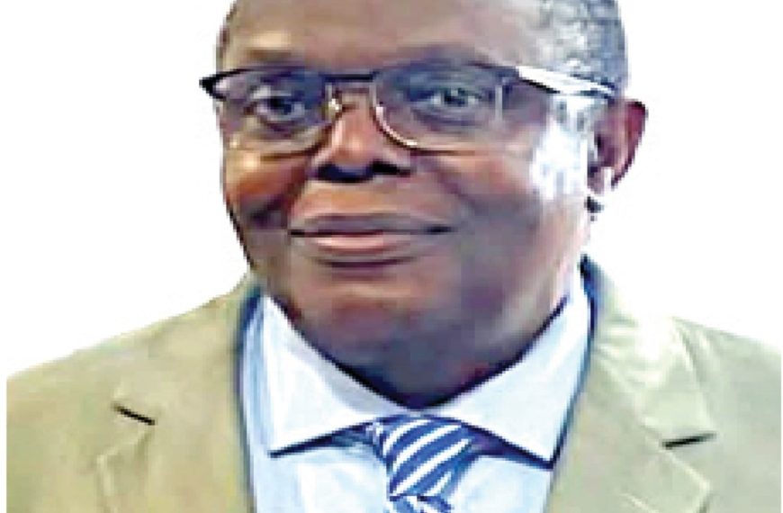 Engineer in Diaspora Calls for Focus on Performance, Competence, Character, and Vision in 2027 Elections
