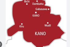 APC Secures Dawakin Kudu/Warawa State Constituency Seat in Kano Bye-Election